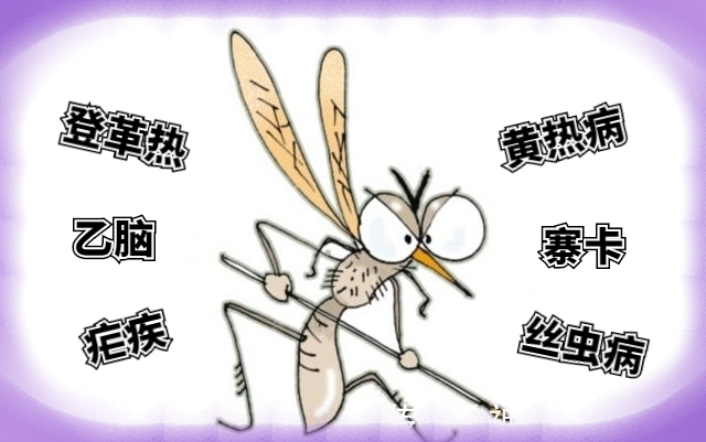 蚊子的危害及防制